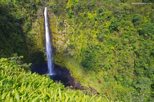 akaka+falls